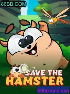 Explore o Mundo de 'SavetheHamster' e Descubra as Regras Desafiadoras